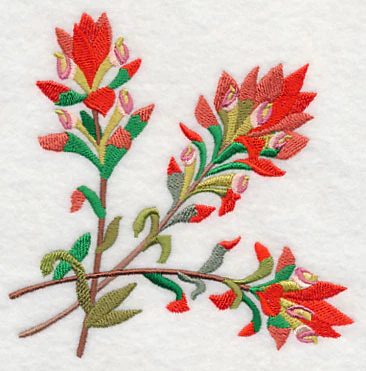 Indian Paintbrush Corner - Image 2
