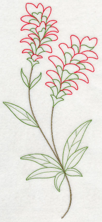 Indian Paintbrush (Vintage) - Image 5
