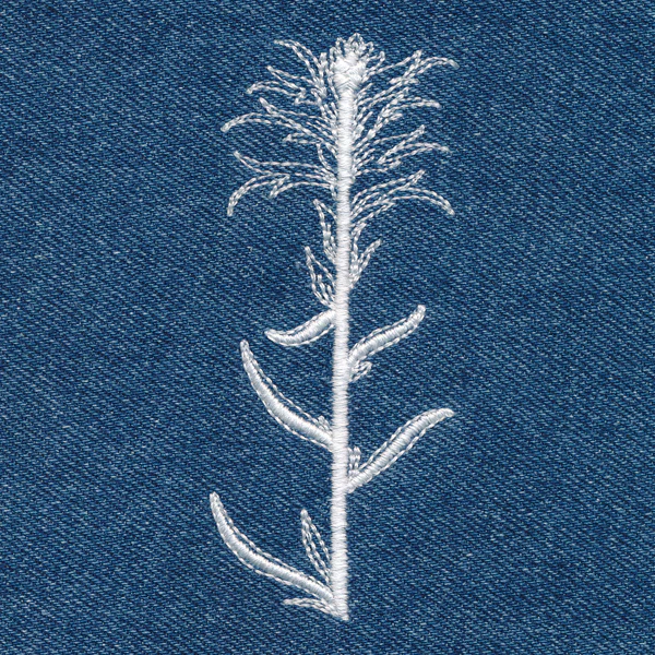 Indian Paintbrush (Whitework) - Image 5