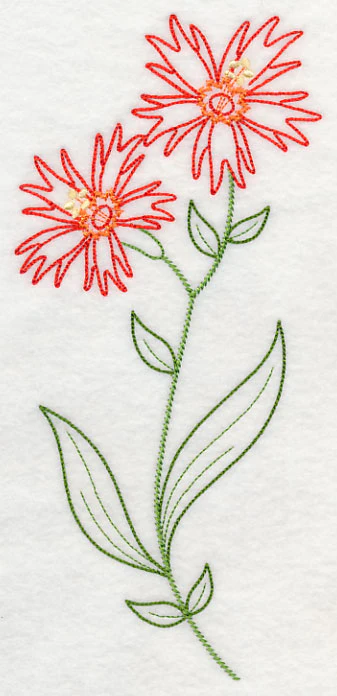 Indian Pink (Vintage) - Image 2