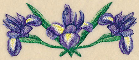 Iris Border in Watercolor - Image 4