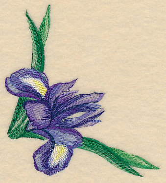 Iris Corner in Watercolor - Image 2