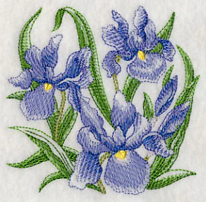 Iris Sketch - Image 5