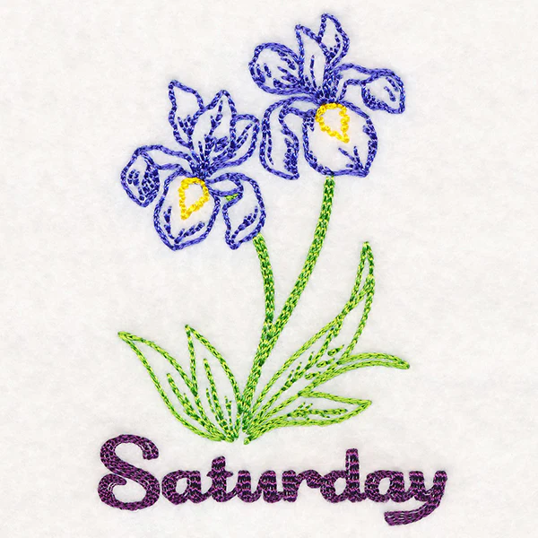 Irises on Saturday (Vintage) - Image 2