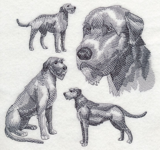 Irish Wolfhound Sketch - Image 4