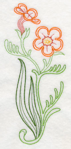 Jamesbrittenia Aurantiaca (Vintage) - Image 3