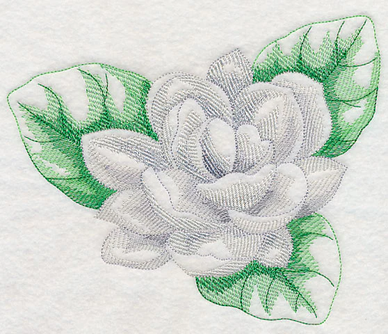 Jasmine Beauty - Image 2