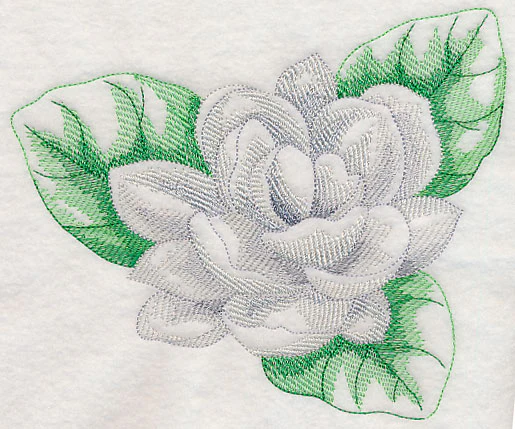 Jasmine Beauty - Image 3