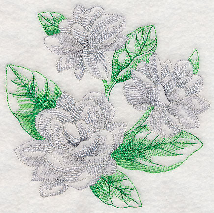 Jasmine Sketch - Image 3