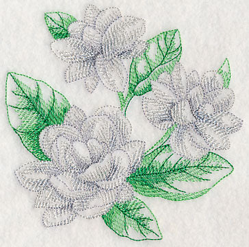 Jasmine Sketch - Image 4
