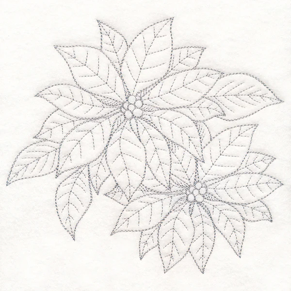 Jolly Poinsettia Etching