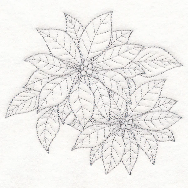 Jolly Poinsettia Etching - Image 3