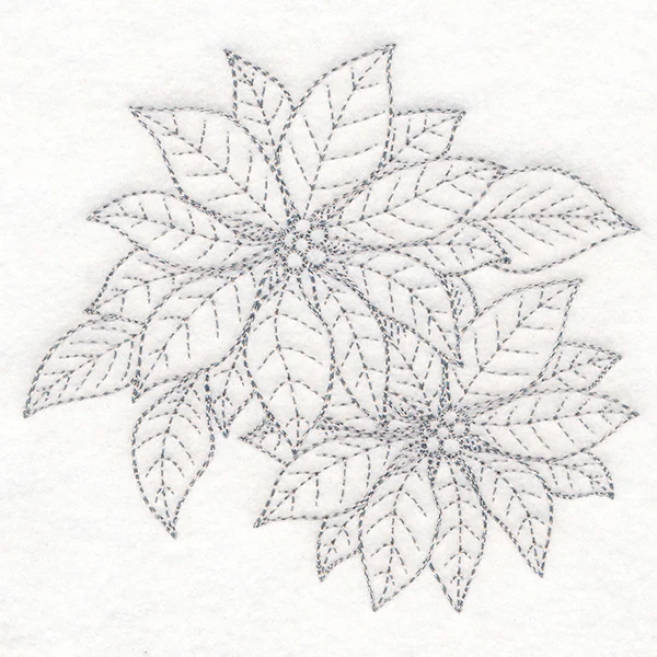 Jolly Poinsettia Etching - Image 4