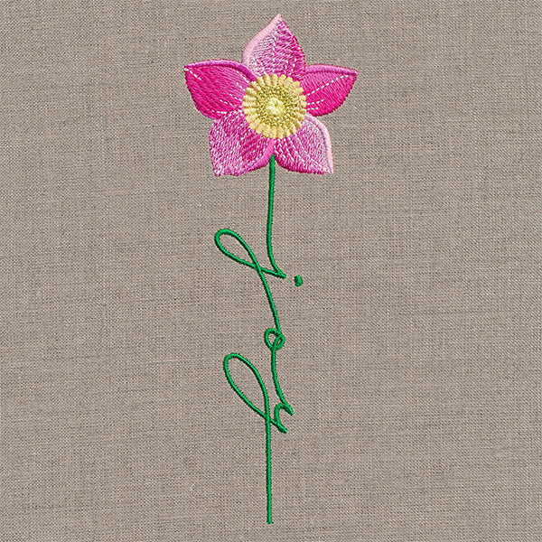 Joy Bloom Christmas Rose - Image 4