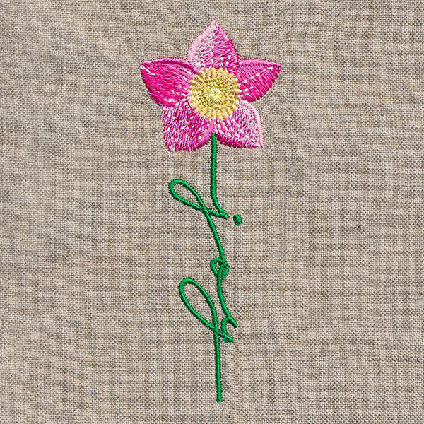 Joy Bloom Christmas Rose - Image 5