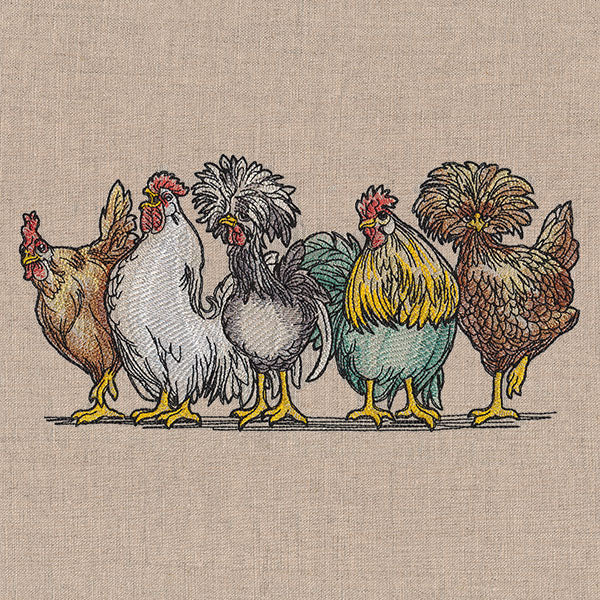 Just My Cluck Chickens Border - Image 3