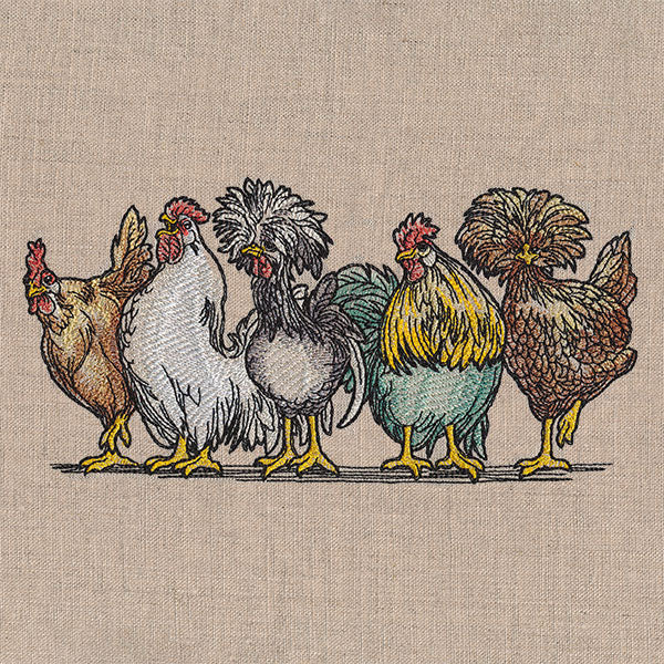 Just My Cluck Chickens Border - Image 5