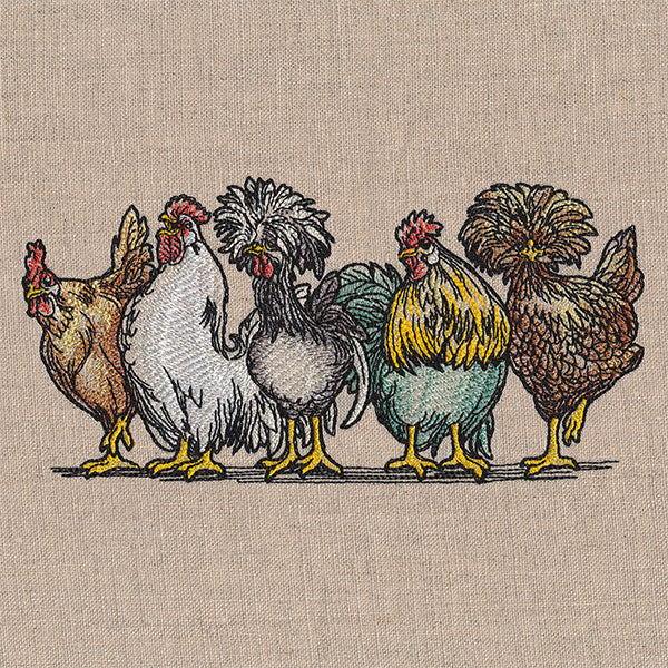 Just My Cluck Chickens Border - Image 7