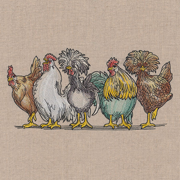 Just My Cluck Chickens Border - Image 9