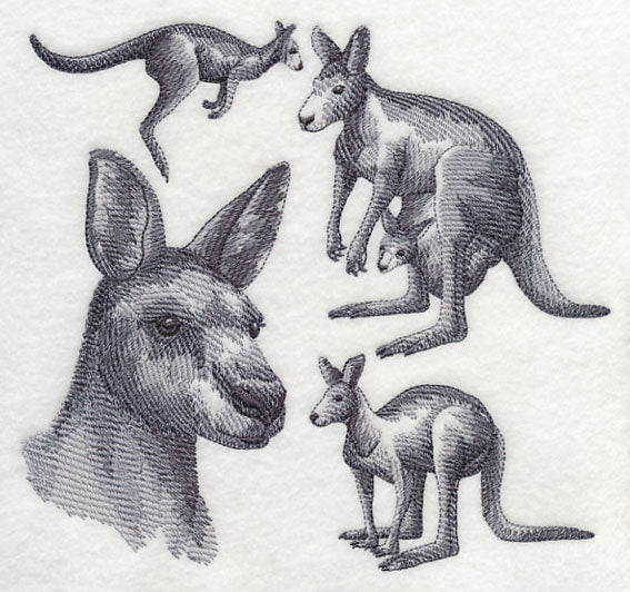 Kangaroo Sketch - Image 4