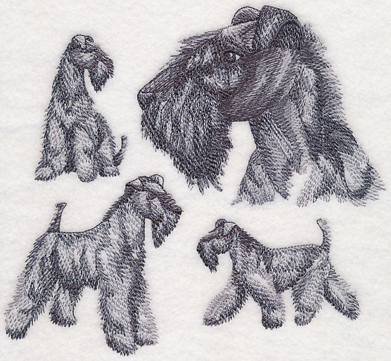 Kerry Blue Terrier Sketch - Image 4