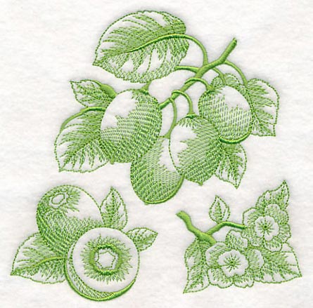 Kiwi Botanical (Toile) - Image 3