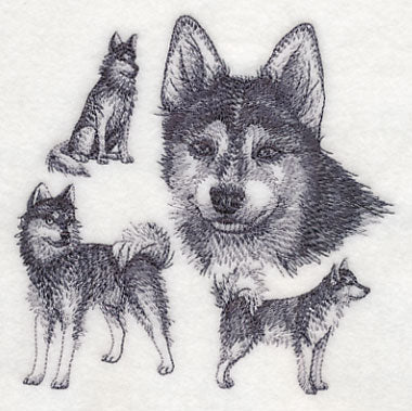 Klee Kai Sketch - Image 4