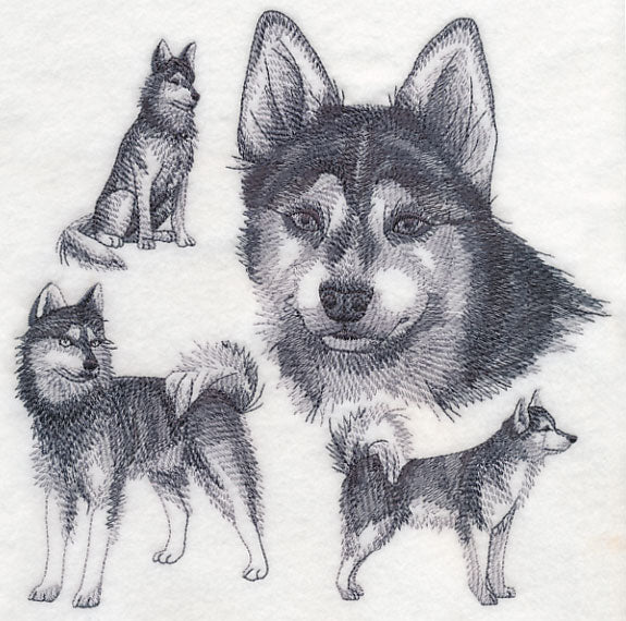 Klee Kai Sketch - Image 5
