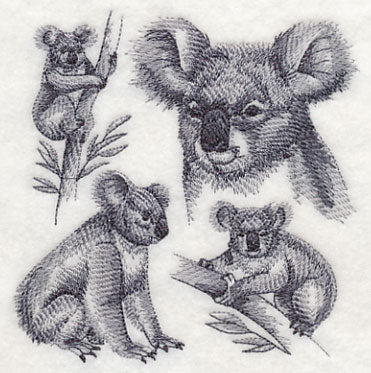 Koala Sketch - Image 4