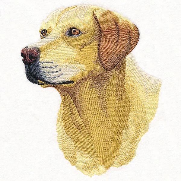 Labrador Retriever Portrait - Image 7
