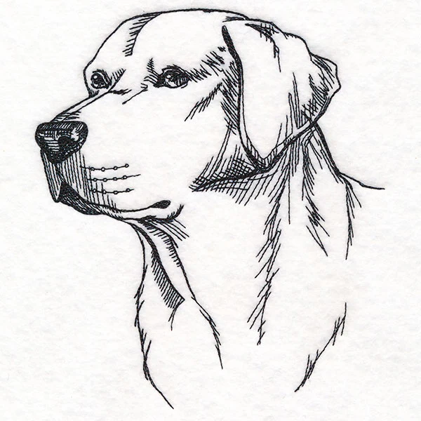 Labrador Retriever Portrait Etching - Image 3