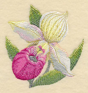 Lady Slipper Bloom in Watercolor - Image 3