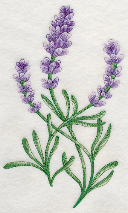 Lavish Lavender 1 - Image 4