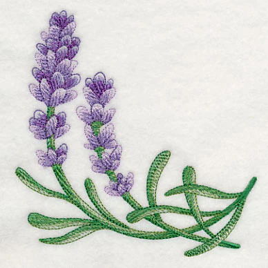 Lavish Lavender Corner 2 - Image 2