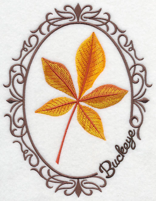 Leaf Cameo - Buckeye - Image 7