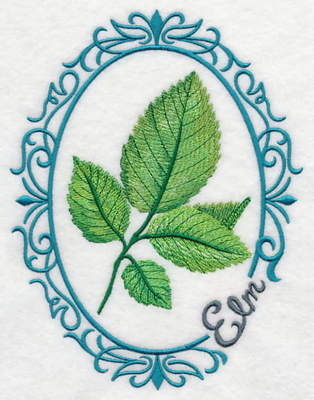 Leaf Cameo - Elm - Image 4