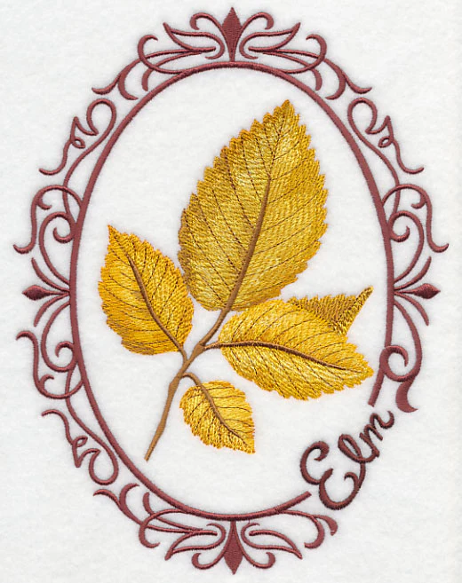 Leaf Cameo - Elm - Image 7