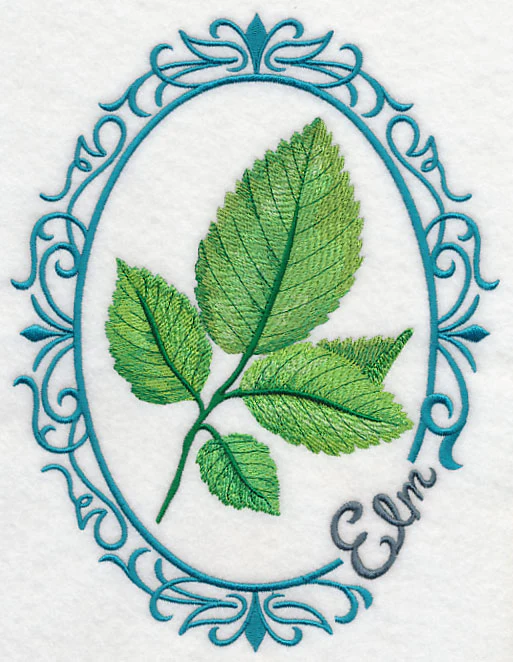 Leaf Cameo - Elm - Image 8