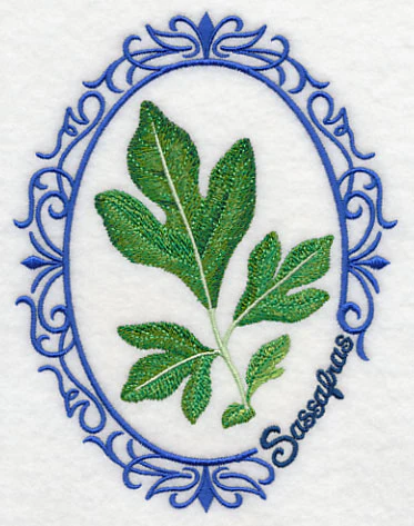 Leaf Cameo - Sassafras - Image 6