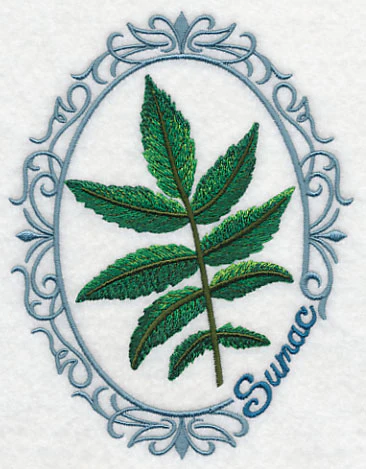 Leaf Cameo - Sumac - Image 6