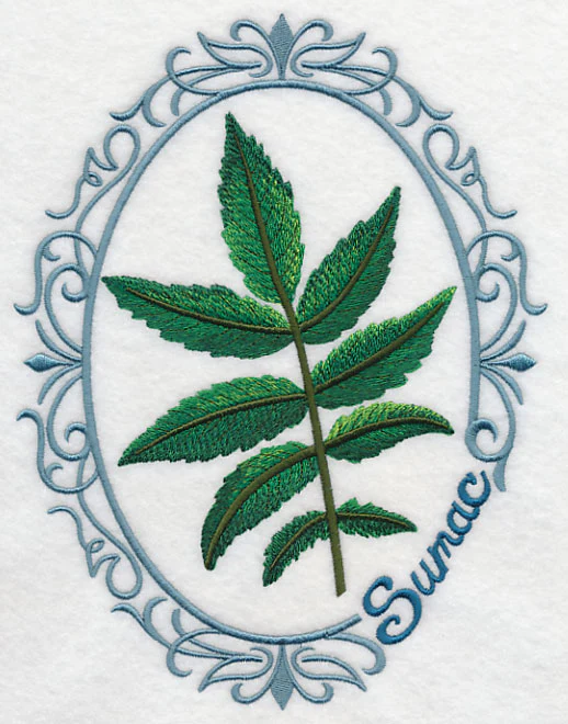 Leaf Cameo - Sumac - Image 8