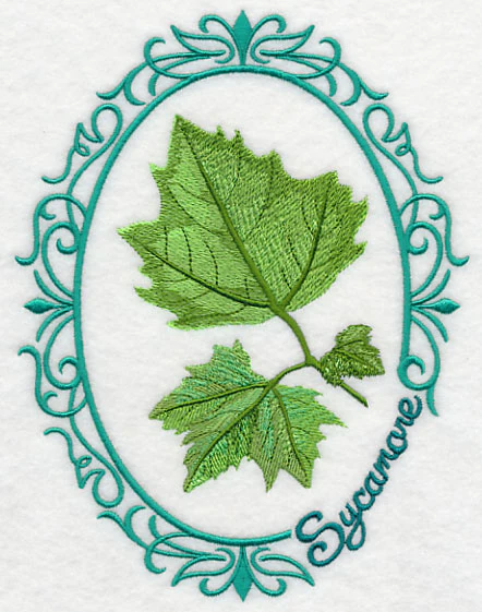 Leaf Cameo - Sycamore - Image 4