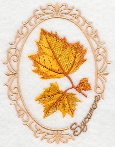 Leaf Cameo - Sycamore - Image 5