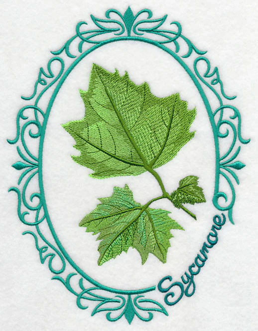 Leaf Cameo - Sycamore - Image 8