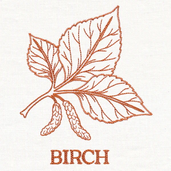 Leafy Botanicals - Birch - Image 2