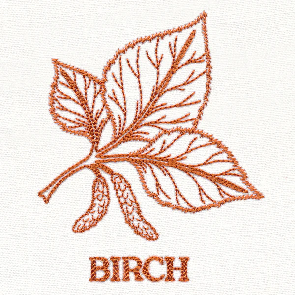 Leafy Botanicals - Birch - Image 3