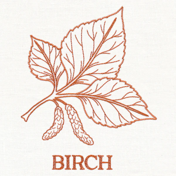 Leafy Botanicals - Birch - Image 4