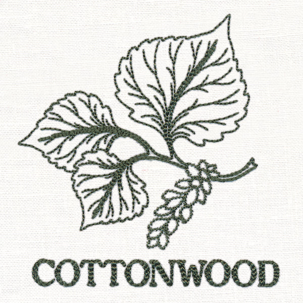 Leafy Botanicals - Cottonwood - Image 3