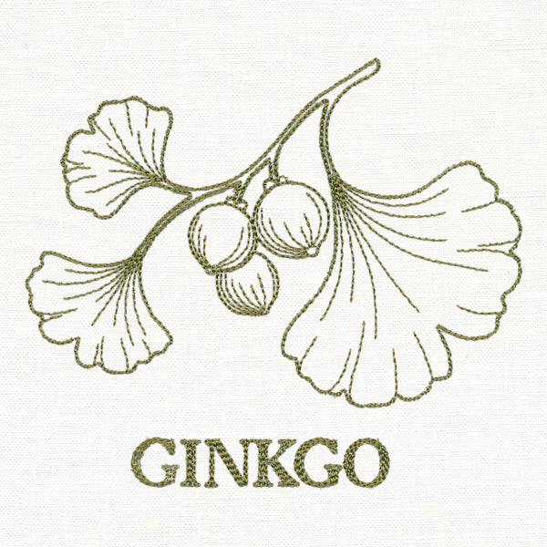 Leafy Botanicals - Ginkgo - Image 2