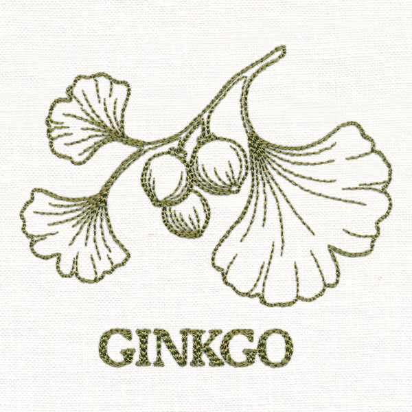 Leafy Botanicals - Ginkgo - Image 3